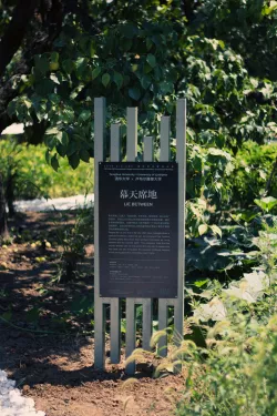 Wang Hui, Zhu Ning, Zhou Zhengxu, Guo Yong, Guo Yuqi, Ji Ruochen, Lei Yuxin, Cao Yuxuan, Mao Yu, Guo Hao, Kong Chuihan, Alenka Fikfak, Aleš Švigelj, Marko Lazić, Lanlan Wei, Jan Barič, Zala Bokal, Zala Koleša, Katarina Kuk, Jaka Veber, Arian Todorović - Med nebom in zemljo